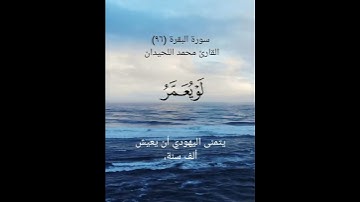 سورة البقرة (٩٦)القارئ محمد اللحيدان ٩ يوليو ٢٠٢٤
