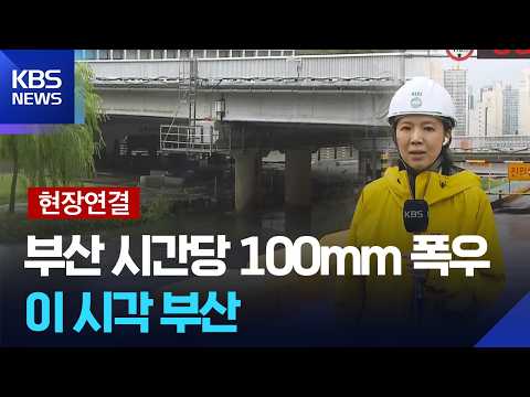 [현장연결] 부산 서부권에 400mm 넘는 폭우…피해 잇따라 [특보] / KBS  2026.08.17.