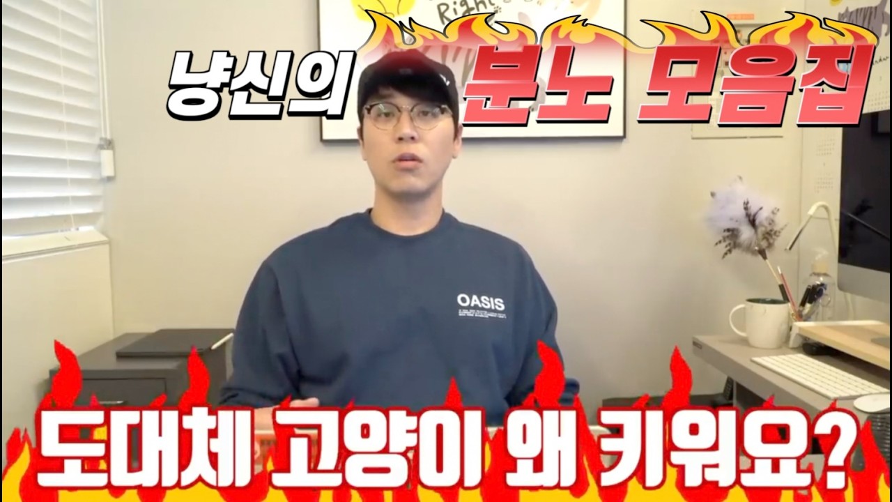 냥신이 화났다! l 냥신의 분노 모음zip