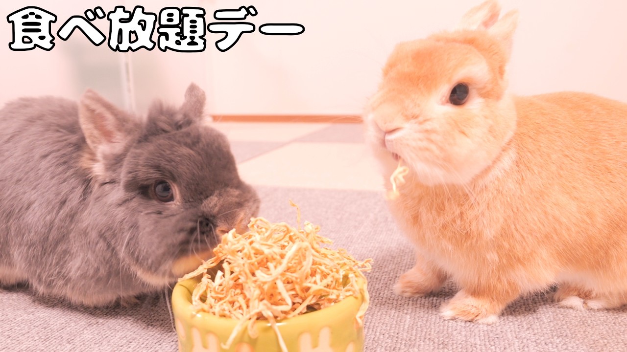 Valentine's Treat Buffet—All-You-Can-Eat Snacks for the Buns 【No