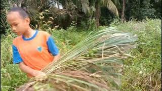 Anak-anak yang rajin