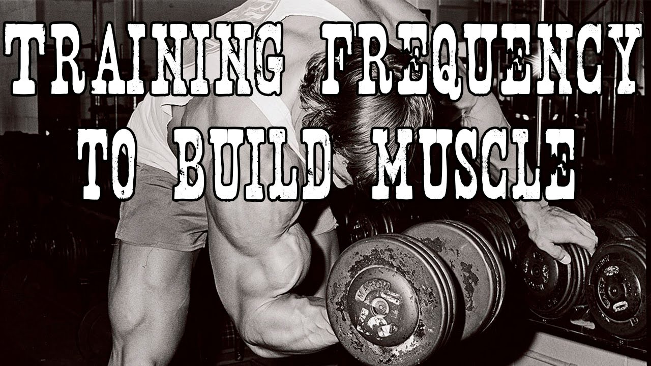 How Often Should You Train To Build Muscle YouTube how-often-should-you-train-to-build-muscle-youtube