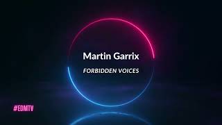 Martin Garrix - Forbidden Voices