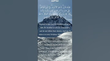 سورة الشورى من الأية 15 الى 16 ياسر الدوسري