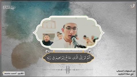 من صلاة التراويح ✨🤍 ماتيسر من "سورة البقرة" 📖🤍 |ألم تر إلى الذي حاج إبراهيم.."🥀🖤 #القارئ_أحمد_عاصم