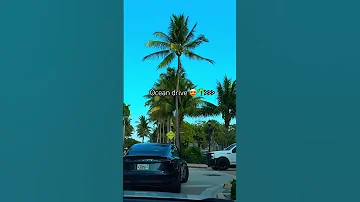 I Miss Miami Get Me Out Of Here Like Right Now Miamovie Miami Travel 