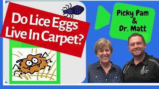 how long can lice live without a host| Lice Eggs Live In The CARPET ? 1-Minute Lice Advice