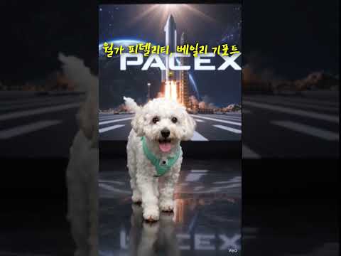 전 세계 투자자들이 기다리고 있다! 스페이스x ipo!