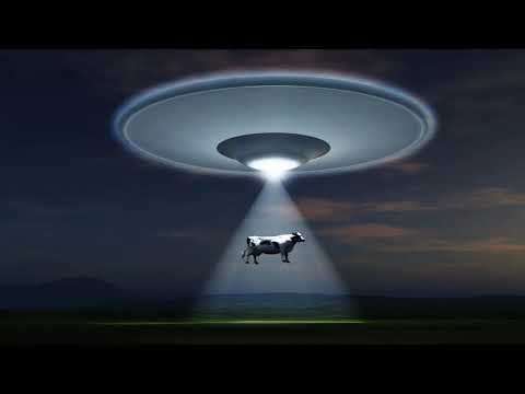 Ein Ufo kommt selten allein - Sci-Fi Hörspiel