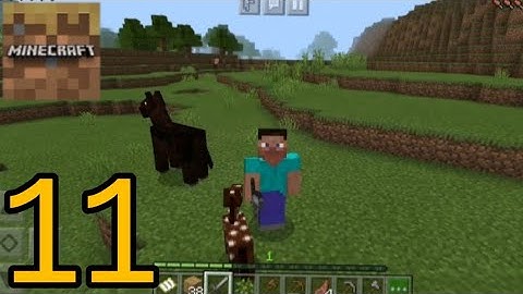 Minecraft Trial - Survival - Gameplay Part 11