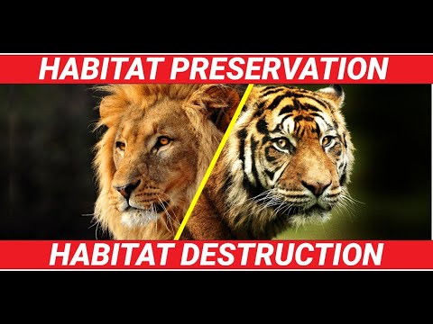 Habitat Preservation |