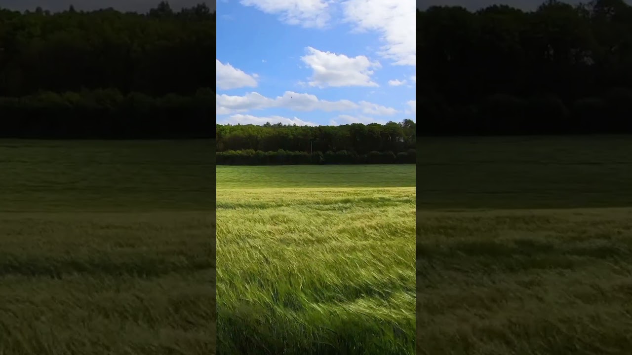 Watch poco moon - Precious Time | Ambient Music | #shorts #ambient #relaxing #relaxingmusic #nature #chill on YouTube Watch poco moon - Precious Time | Ambient Music | #shorts #ambient #relaxing #relaxingmusic #nature #chill on YouTube