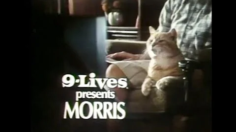 '9-Lives Presents Morris' Commercial (1976)