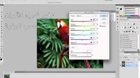 Tutorial Photoshop - color splash - partial black and white