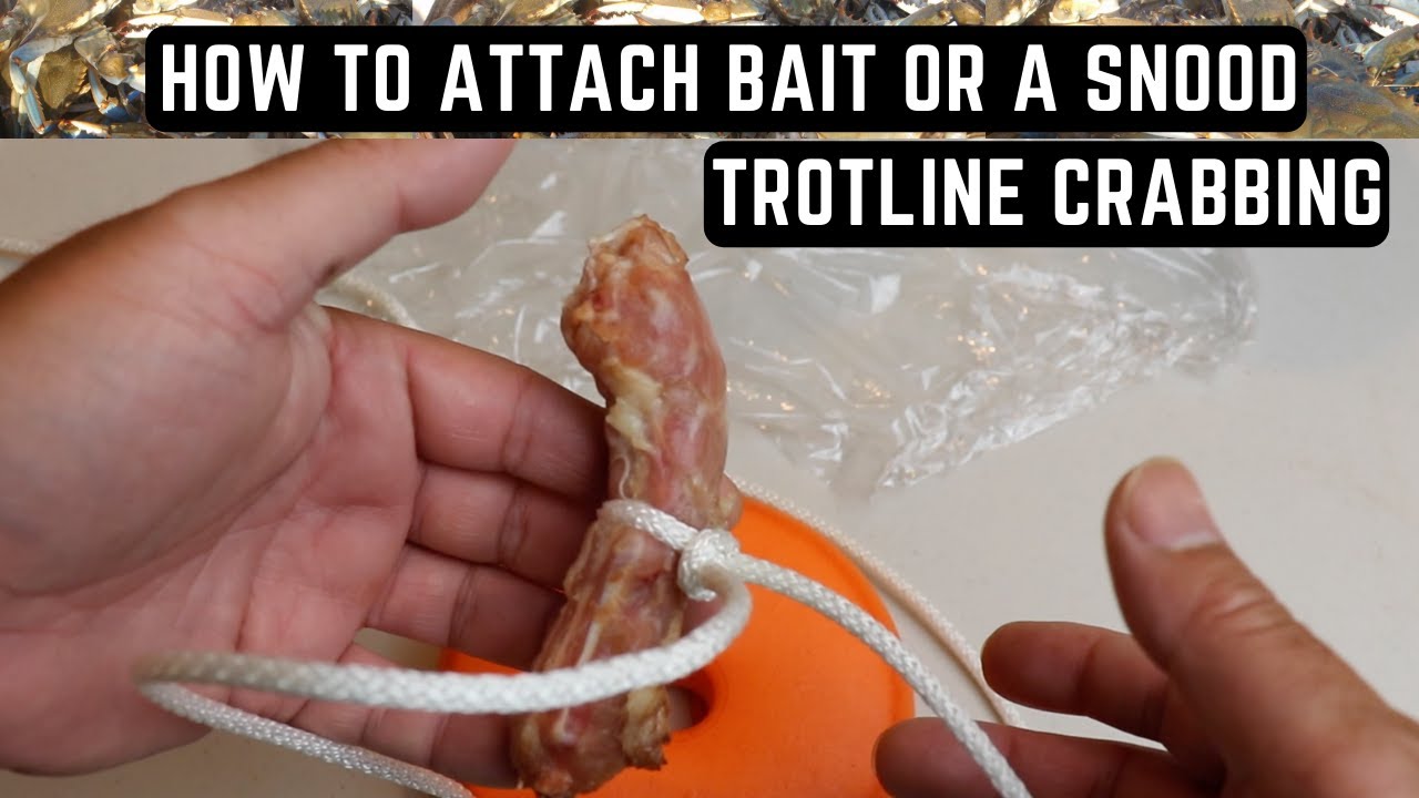 Trotline Crabbing - How To Attach Bait or Snood To A Trotline - Crabbing In  Maryland 