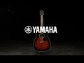 Yamaha FG830 Acoustic Guitar, Tobacco Brown Sunburst | Gear4music demo