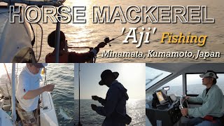 Horse Mackerel ‘Aji’ Fishing Minamata, Kumamoto, Japan
