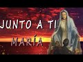 Hermoso canto a la VIRGEN   Música para sanar todos los dolores del cuerpo, alma y Espíritu