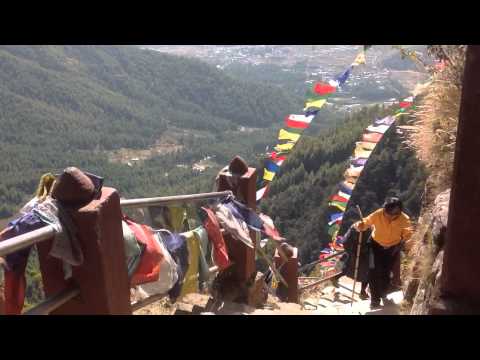 trim C56763C2 7681 4250 BFB4 5E4393AB80FA