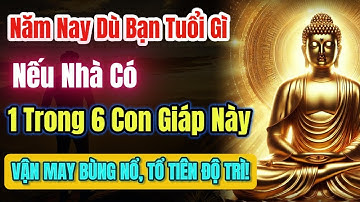 2025 Nhà Bạn Có 1 Trong 6 Con Giáp Này, Hợp Vận HỎA LONG VƯỢNG KHÍ, VẬN MAY BÙNG NỔ, TỔ TIÊN ĐỘ TRÌ