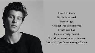 Shawn Mendes -  Mutual lyrics