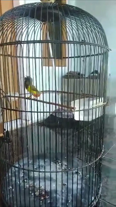 Sogon Materi Cililin Rambatan RPM