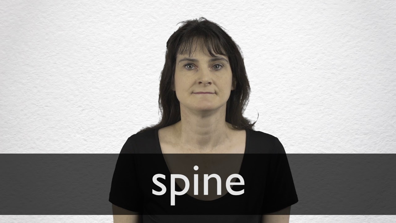 How To Pronounce SPINE In British English YouTube how-to-pronounce-spine-in-british-english-youtube