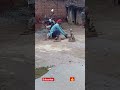 #sorts #viral safhera wala viral video @parmeshwarsori8632