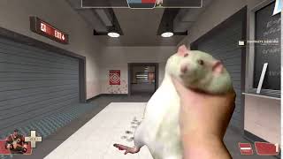 New TF2 rat-themed heavy update
