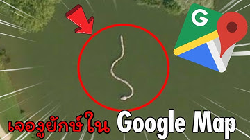 เจองูยักษ์ในสวนสาธารณะ บน Google Map (ตัวโคตรใหญ่)