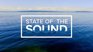 State of the Sound: Protecting the ecosystem of Puget Sound