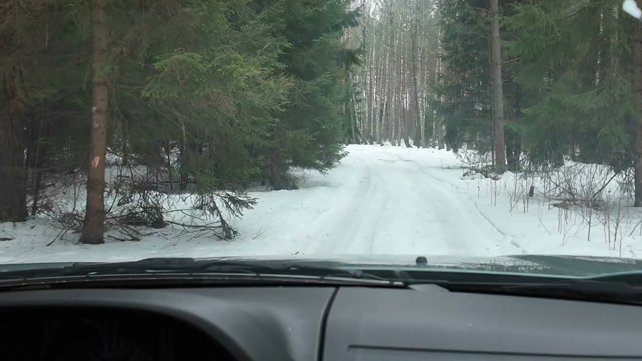Niesamowity skok JELENIA! Musisz to zobaczyć 🦌