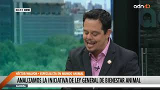 Iniciativa de reforma a la ley de bienestar animal