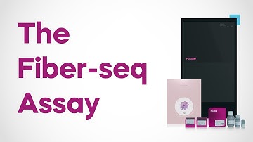 Detecting 5mC & 6mA methylation with PacBio