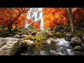 🌿 Great Healing Music For Sleep With Beautiful Nature