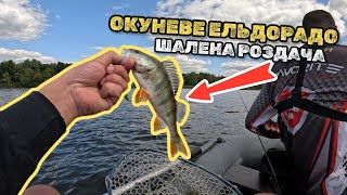 картинка: ОКУНЕВЕ ЕЛЬДОРАДО! РАЙ ДЛЯ УЛЬТРАЛАЙТУ! КЛЮЄ НА ВСЕ!