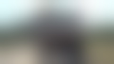 Video heo tẩu thoát thạt ngoạn mục