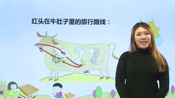 [高清] 小學語文三年級上冊 第3單元第03講：在牛肚裡旅行【人教部編版】 - 天天要聞