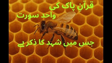 🌸"The Only Place in the Quran Where Honey Is Mentioned 🍯 | The Miracle of Surah An-Nahl”
