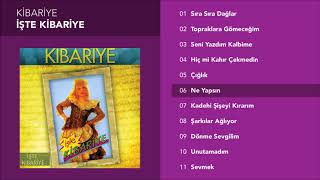 Ne Yapsın - Kibariye