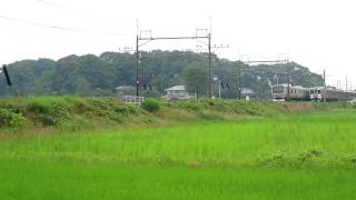 E231系・211系　ヒガハス通過