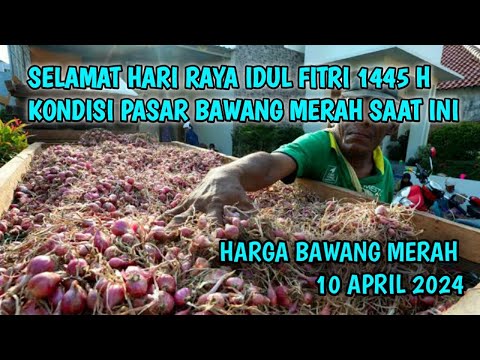 Kondisi harga bawang merah hari ini 10 APRIL 2024 || harga bawang merah saat hari raya idul fitri