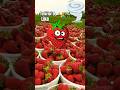 I am a strawberry
