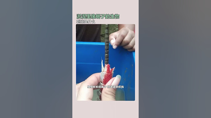 淤泥里像蝎子的生物 到底是什么 #有用内容创作计划 #村花的奇葩科普