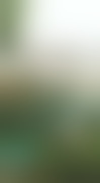 KOPGAB NINJA BARENG PLAT 'N' DI PASURUAN