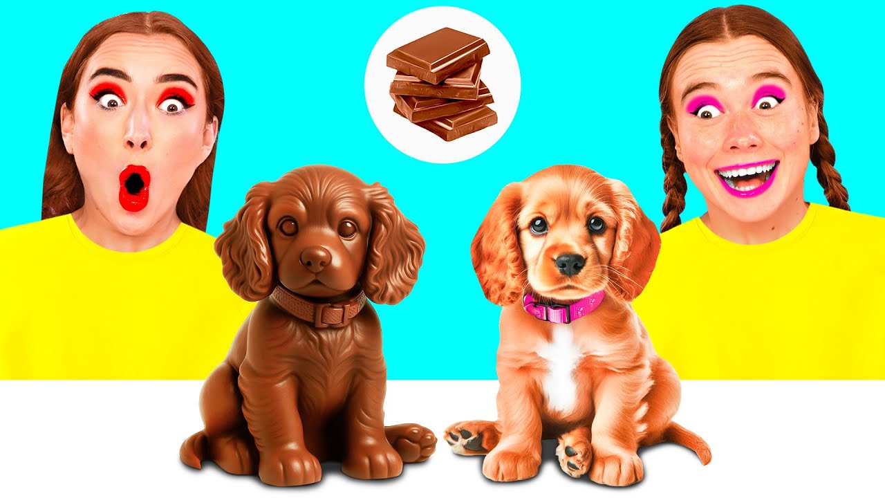 Челлендж. Шоколадная Еда vs Настоящая еда | Потрясающие Кухонные Хитрости от Funny Funny