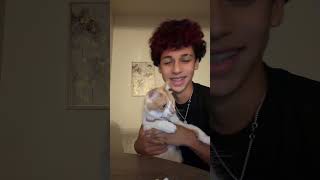 I love my cat #cat #cute #lipsync #funny #relatable