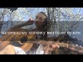 Sheepovskaya - Маленькому зайчику (авторская песня) 10 000 подписчиков!!!!!