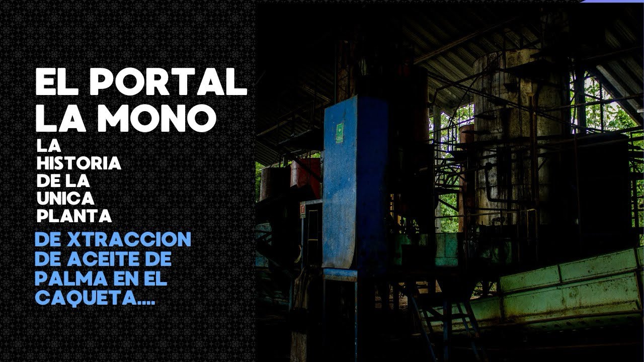 Visite la planta de cecora en el Portal la Mono..😱 - YouTube