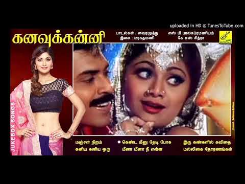 manjal-niram-konda-ponnu---kanavu-kanni-(1996)